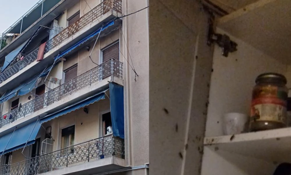 Άγιος Παντελεήμονας: «Έχουν δαγκώματα από ποντίκια σε όλο τους το σώμα»